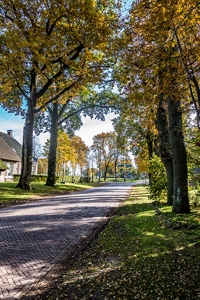 Restaurant De Groene Lantaarn