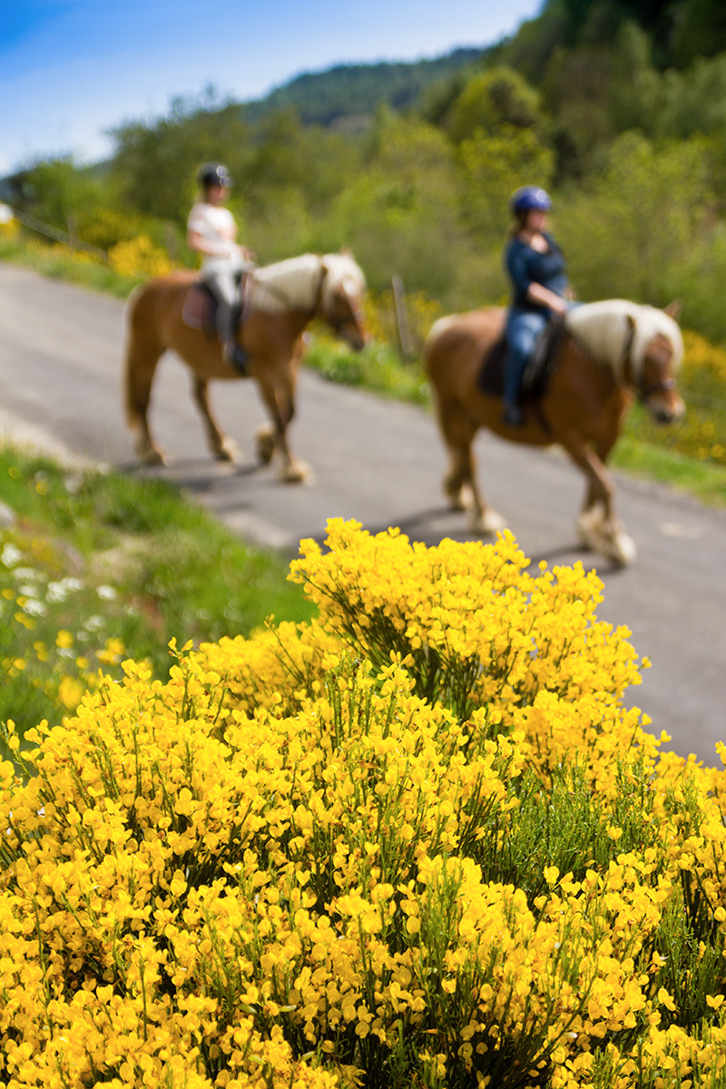 Familievakantie in Lozère (Frankrijk)