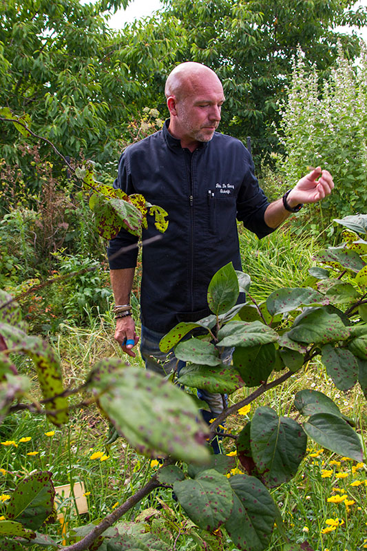 BBQ-workshop Peter De Clercq