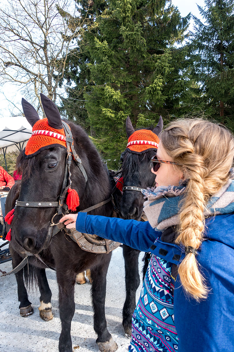 Ritje met de paardenkoets